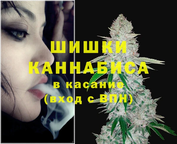 дурь Осташков