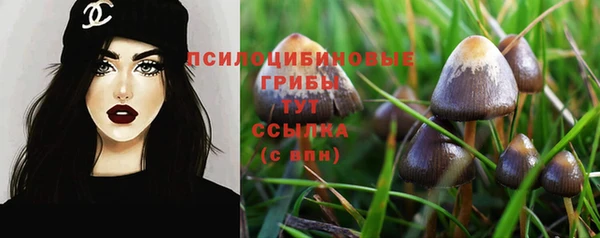 дурь Осташков