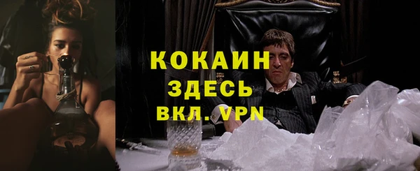 дмт Осинники