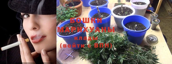 дмт Осинники