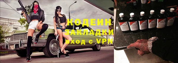 дурь Осташков