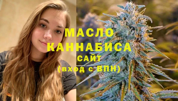 дмт Осинники