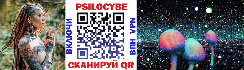 Псилоцибиновые грибы мицелий  ссылка на мегу ТОР  Суоярви  как найти закладки 
